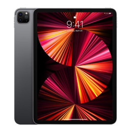 IPAD PRO 11 WF CL 1T GREY