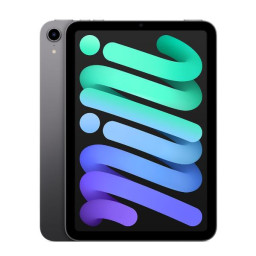 IPAD MINI WI-FI 64GB SPG