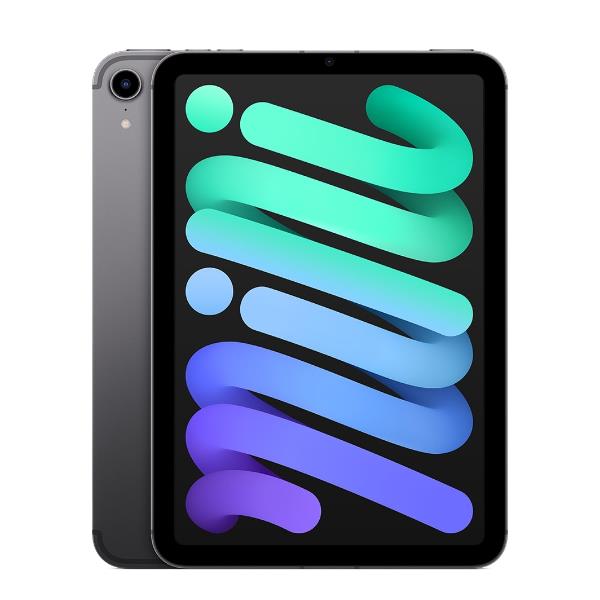 IPAD MINI WF CL 64GB SPG IPAD MINI WF CL 64GB SPG