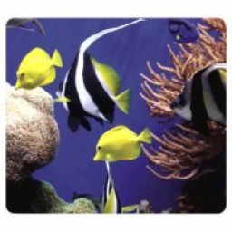ALFOMBRILLA RECICLADA ACUARIO