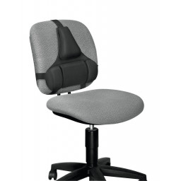 COJIN LUMBAR ERGO PROFESSIONAL SERI