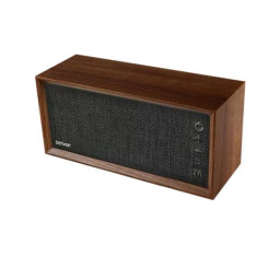 ALTAVOZ BLUETOOTH