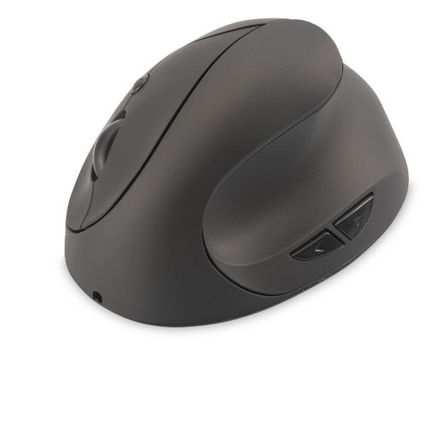 RAT N INAL MBRICO ERGON MICO VERTIC RAT N INAL MBRICO ERGON MICO VERTIC