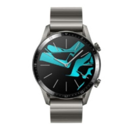 WATCH GT2 ELEGANT TITANIUM GREY LB