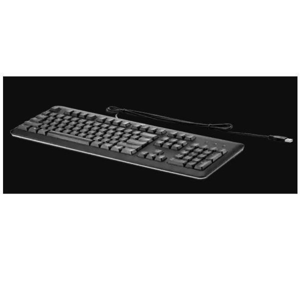 HP (BULK PACK 14) USB KEYBOARD HP (BULK PACK 14) USB KEYBOARD