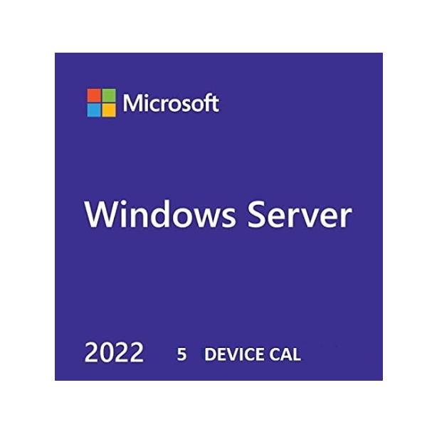 WS SVR2022 CAL 5 DEVICE