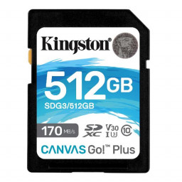 512GB SD CANVAS GO PLUS 170R C10