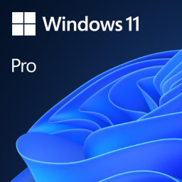 WIN 11 PRO 64BIT ENG 1PK DVD