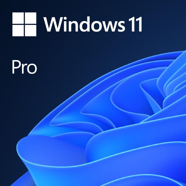 WIN 11 PRO 64BIT ENG 1PK DVD WIN 11 PRO 64BIT ENG 1PK DVD