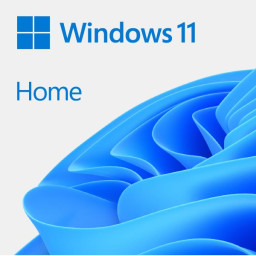 WIN 11 HOME GGK 64BIT ENG 1PK DVD
