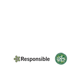 Toner RESPONSIBLE: CANON 725  LBP6000 LBP6020 LBP6200 1.600p. (3484B002) (725R)