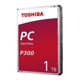 BULK P300 HIGH-PERFORMANCE 1TB