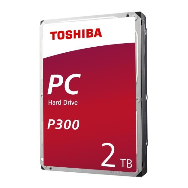 BULK P300 HIGH-PERFORMANCE 2TB BULK P300 HIGH-PERFORMANCE 2TB
