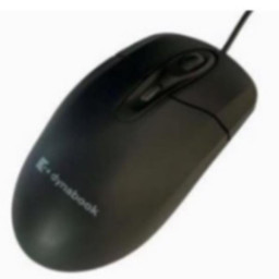 RAT N DYNABOOK U60