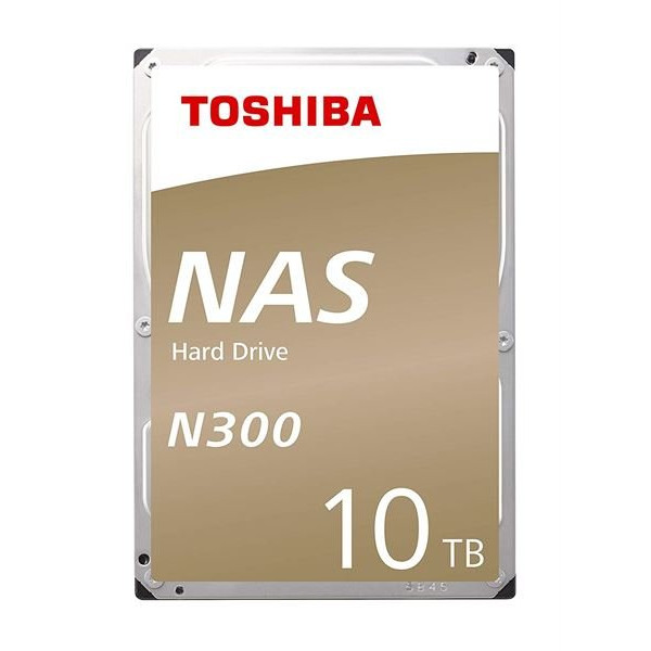 BULK N300 NAS HD 10TB (256MB)