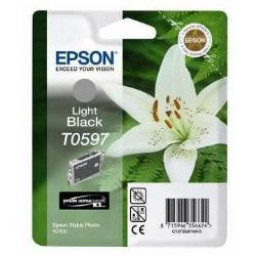 TINTA GRIS STYLUS PHOTO R2400