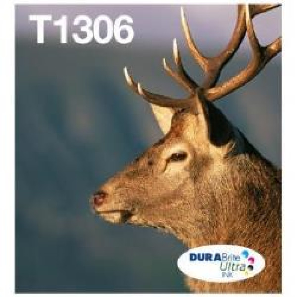 TINTA T1306 MULTIPACK 3 COL. EASYMA TINTA T1306 MULTIPACK 3 COL. EASYMA