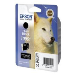 TINTA NEGRA FOTO STYLUS PHOTO R2880