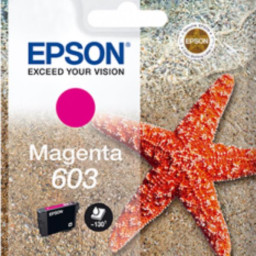 TINTA MAGENTA 603 BLISTER