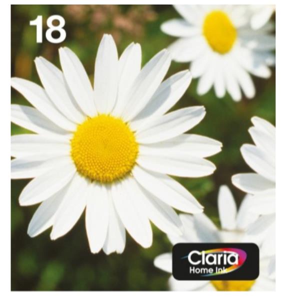 TINTA T1806 MULTIPACK XL 4 COL. EAS TINTA T1806 MULTIPACK XL 4 COL. EAS