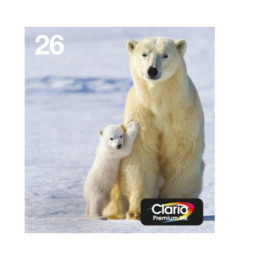 MULTI 4-COLOURS 26 EASYMAIL